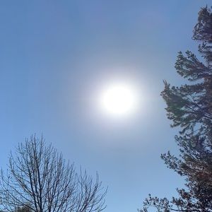 Meet your Posher, Ellen